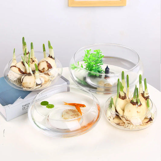 Glass Vase Bowl Wide Mouth Flower Vase Round Terrarium Glass Hydroponic Planter Floral Container Clear Fish Bowl Succulents Pot