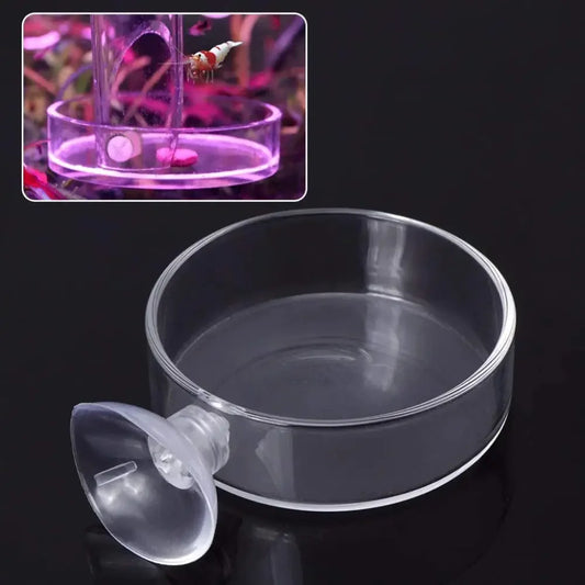 Fish Tank Feeder Aquarium Shrimp Glass Feeding Bowl Clear Dish Tray Container Feeders Aquarium Round Square Fish Shrimp Feeding
