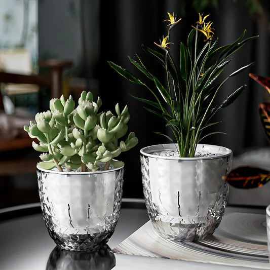 Self Watering Flowerpot Automatic Water Absorbing Flowerpot Transparent Double Layer Plastic Succulent Plant Pot Decorative Pot