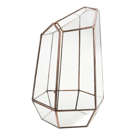 Contemporary Geometric Terrarium Irregular Glass Plant Box Tabletop Succulent Holder for Home Styling