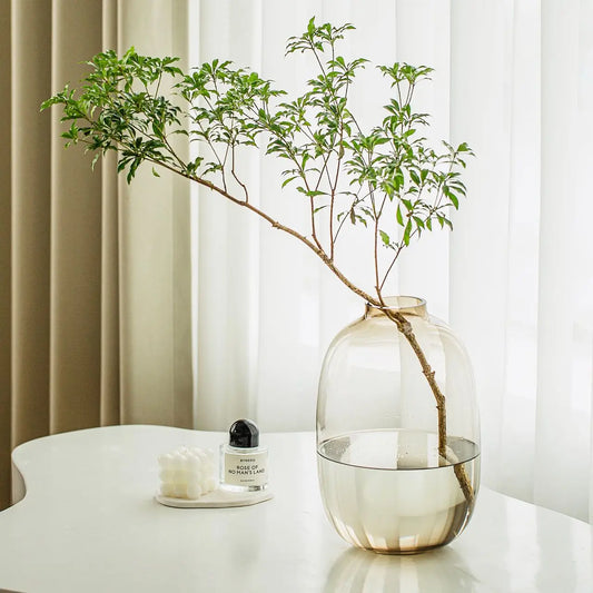 Simple Horse Drunk Wood Vase Potbelly Glass Transparent Aquatic Living Room Flower Arrangement Floor Utensils Fresh Vase