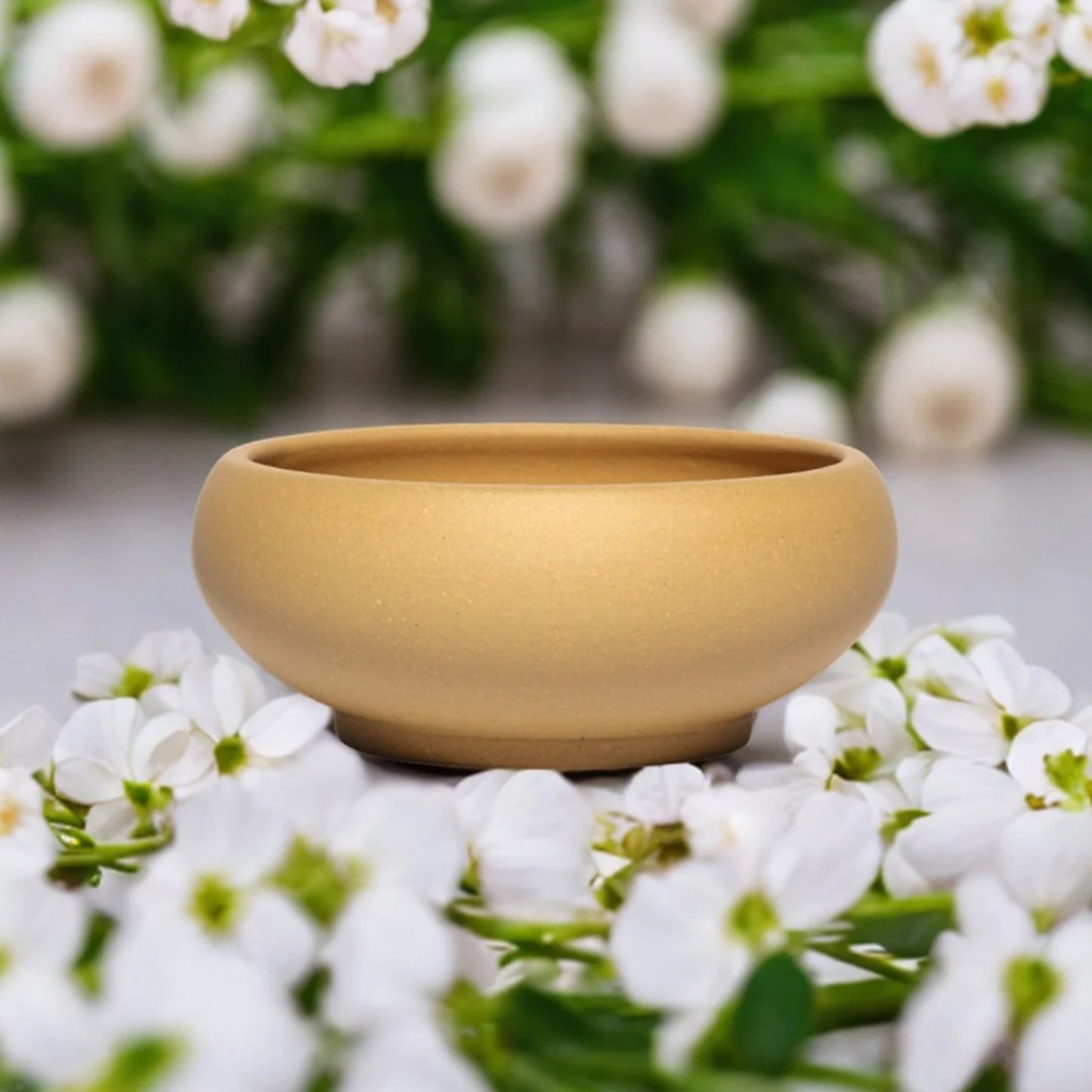 Flowerpot Red Stoneware Flower Pots With Drain Hole Elegant Promote Healthy Growth Planter For Balcony Living Room Bedroom