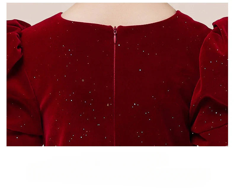 Kids Party Dress Clothing For Birthday Princess  Wine Red Piano Wedding Flower Girl Host Children's Formal Dress