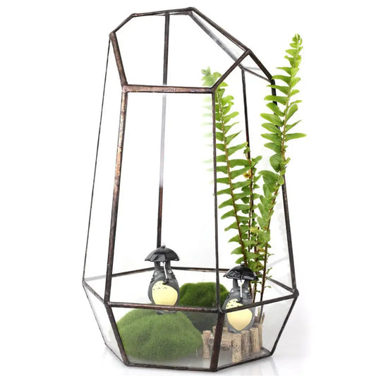 Contemporary Geometric Terrarium Irregular Glass Plant Box Tabletop Succulent Holder for Home Styling
