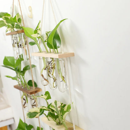 Creative green radish hydroponic plant glass transparent vase flower arrangement water flower pot hemp rope test tube wall hangi