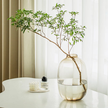 Simple Horse Drunk Wood Vase Potbelly Glass Transparent Aquatic Living Room  Flower Arrangement  Floor Utensils  Fresh Vase