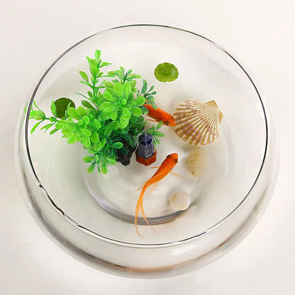 Glass Vase Bowl Wide Mouth Flower Vase Round Terrarium Glass Hydroponic Planter Floral Container Clear Fish Bowl Succulents Pot