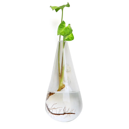 Cone Shape Wall Hanging Vase Transparent Fish Tank Wall Planter Plant Holder Aquarium Container Hydroponics Plants Flowerpot