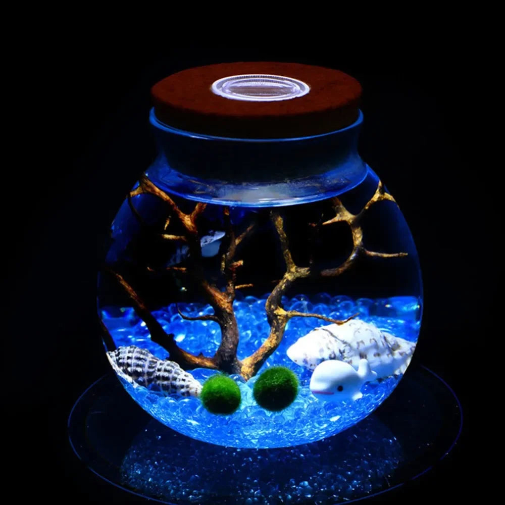 Round Glass Jar Terrarium with Colorful LED Light Cork Micro Landscape Ecological Bottle Night Lights