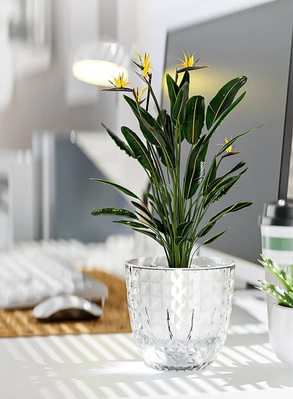 Self Watering Flowerpot Automatic Water Absorbing Flowerpot Transparent Double Layer Plastic Succulent Plant Pot Decorative Pot