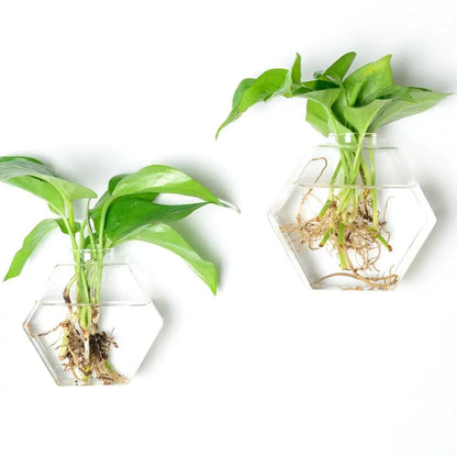 Cone Shape Wall Hanging Vase Transparent Fish Tank Wall Planter Plant Holder Aquarium Container Hydroponics Plants Flowerpot