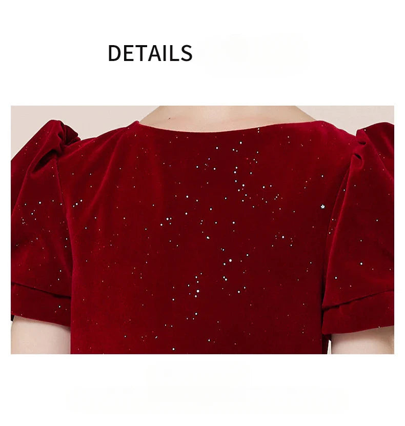 Kids Party Dress Clothing For Birthday Princess  Wine Red Piano Wedding Flower Girl Host Children's Formal Dress