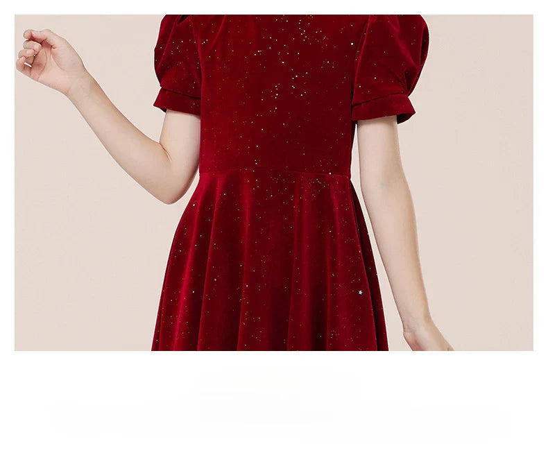 Kids Party Dress Clothing For Birthday Princess  Wine Red Piano Wedding Flower Girl Host Children's Formal Dress
