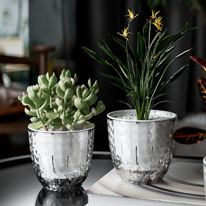 Self Watering Flowerpot Automatic Water Absorbing Flowerpot Transparent Double Layer Plastic Succulent Plant Pot Decorative Pot