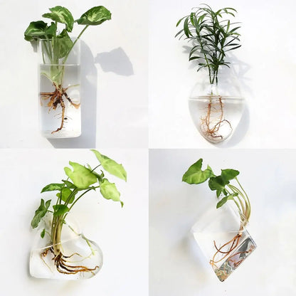 Cone Shape Wall Hanging Vase Transparent Fish Tank Wall Planter Plant Holder Aquarium Container Hydroponics Plants Flowerpot