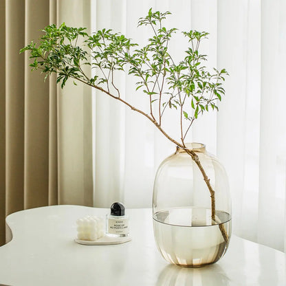 Simple Horse Drunk Wood Vase Potbelly Glass Transparent Aquatic Living Room  Flower Arrangement  Floor Utensils  Fresh Vase