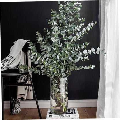 Transparent Acrylic Cylinder Vase,Living Room Flower Arrangement,Straight Tube Vase,Home Hydroponic Plant Container,For Flower