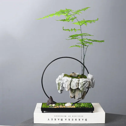 Creative Bamboo Succulent Pot Rich Tree Bonsai Iron Tree Rice Bamboo Indoor Floating Island Suspended Iron Micro Landscape Pot