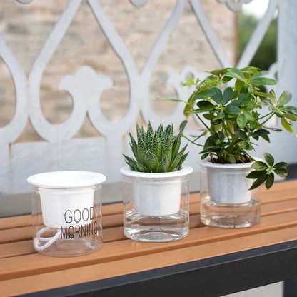 Flower Pot Automatic Water-Absorbing Flowerpot Transparent Double Layer Plastic Self Watering Planter Office