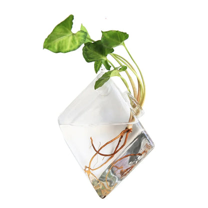 Cone Shape Wall Hanging Vase Transparent Fish Tank Wall Planter Plant Holder Aquarium Container Hydroponics Plants Flowerpot