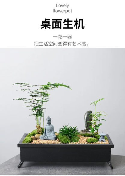 Creative Bamboo Succulent Pot Rich Tree Bonsai Iron Tree Rice Bamboo Indoor Floating Island Suspended Iron Micro Landscape Pot