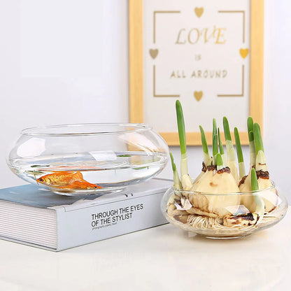 Glass Vase Bowl Wide Mouth Flower Vase Round Terrarium Glass Hydroponic Planter Floral Container Clear Fish Bowl Succulents Pot