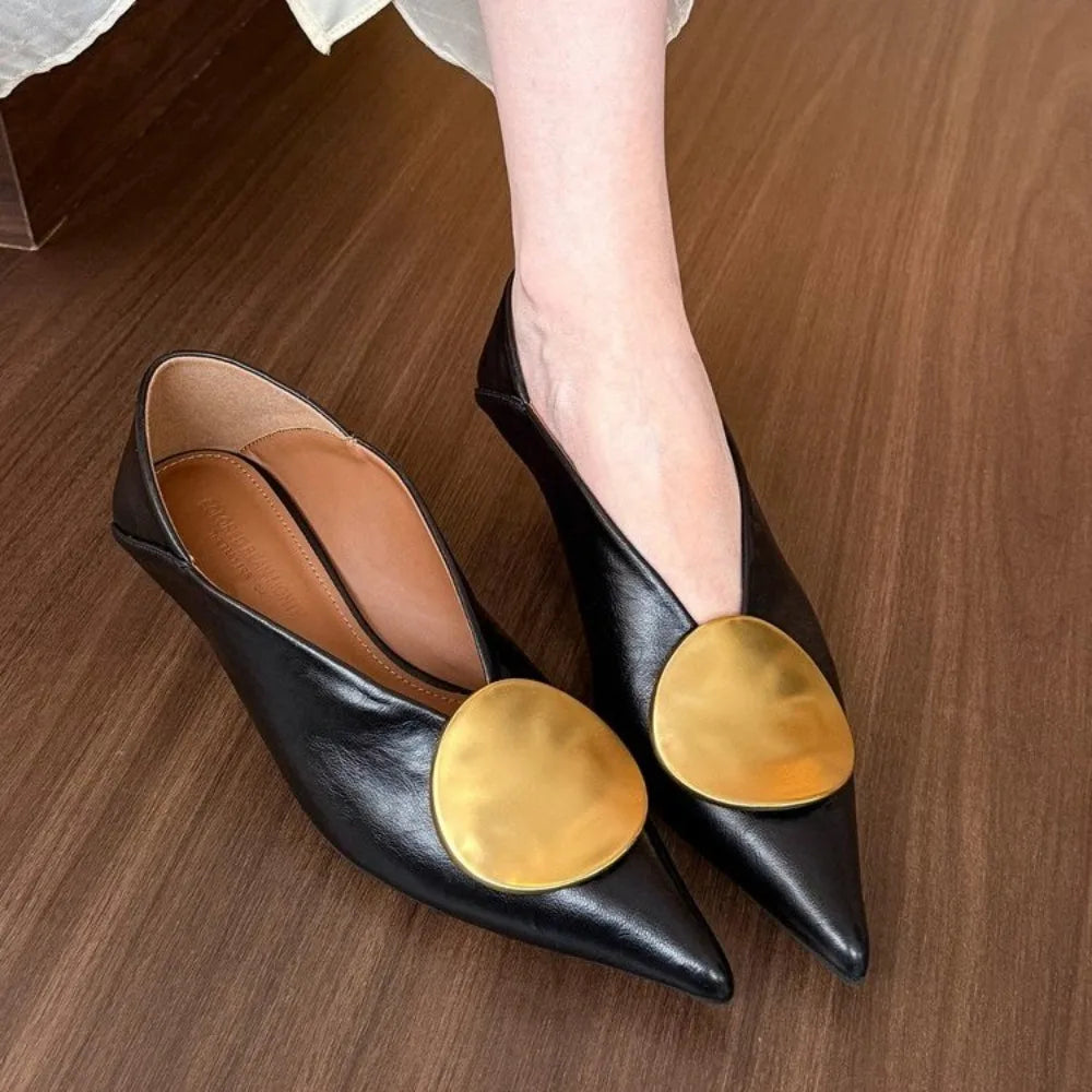 Luxury Women Heeled Shoes Pointed Toe Low Heels Designer Shoes Sexy Dress Fashion Woman Pumps 2025 Summer Elegant Zapatos Mujer